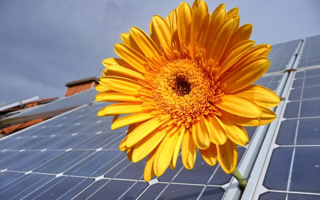 Was ist der Unterschied zwischen Photovoltaik & Solarthermie?